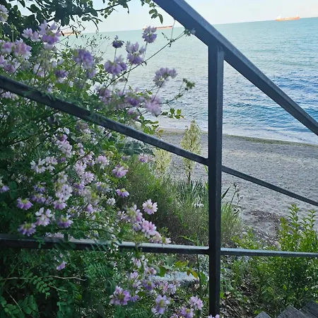 Viamo Varna