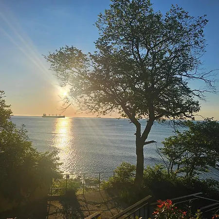 Viamo * Varna